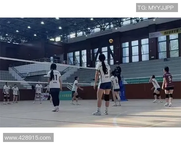 成都排球队在排球状态排行榜中荣获第六名展现出强劲实力与潜力